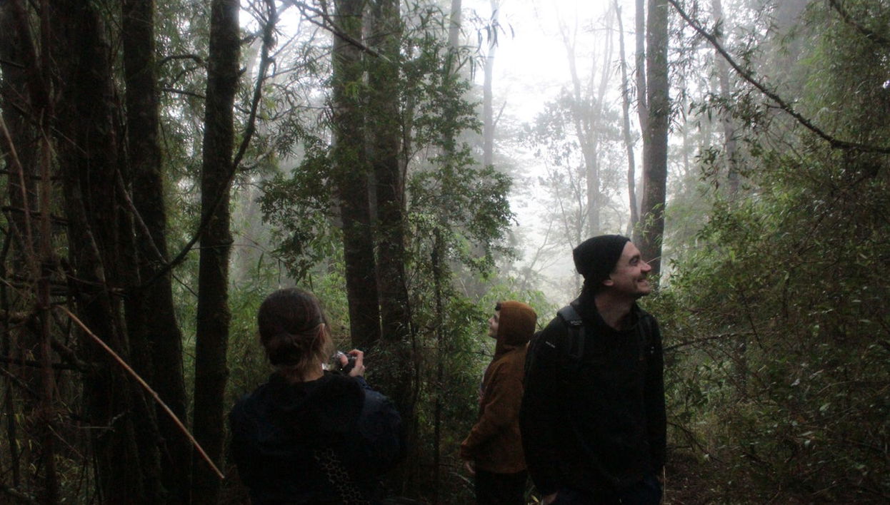 Excursion dans la réserve écologique Senderos del Bosque - Photo 1