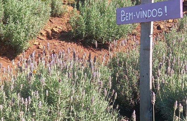 Excursión a Morro Reuter e Ivoti - Foto 6