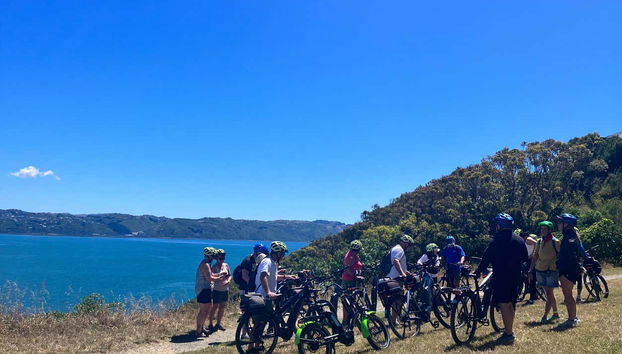 Tour di Wellington in bicicletta - Foto 5