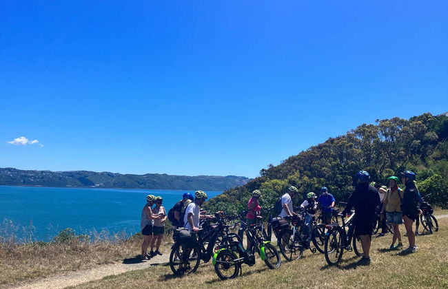 Tour di Wellington in bicicletta - Foto 7