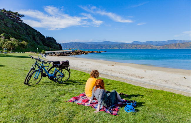 Balade à vélo à Wellington - Photo 4