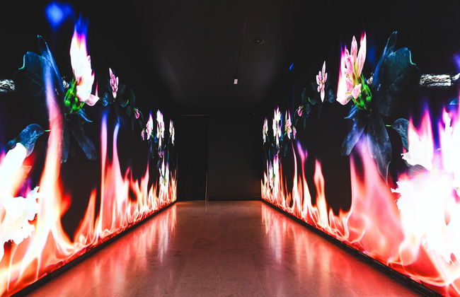 Hortensia Herrero Art Centre - Photo 6