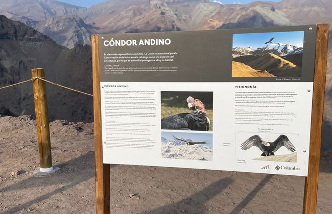 Excursión al Valle Nevado al atardecer - Foto 5