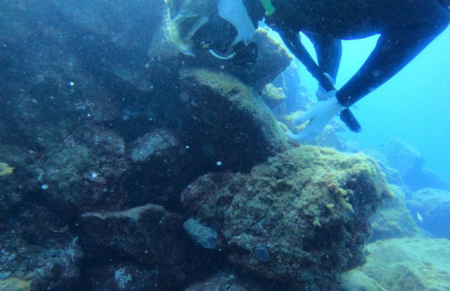 La Lajita Scuba Diving - Foto 4