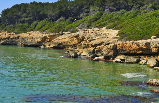Tour en moto de agua por Cala Mora - Foto 6