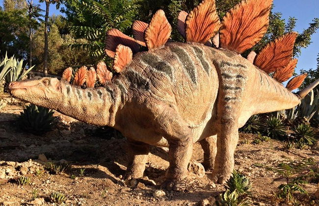 Dinopark Algar - Foto 6