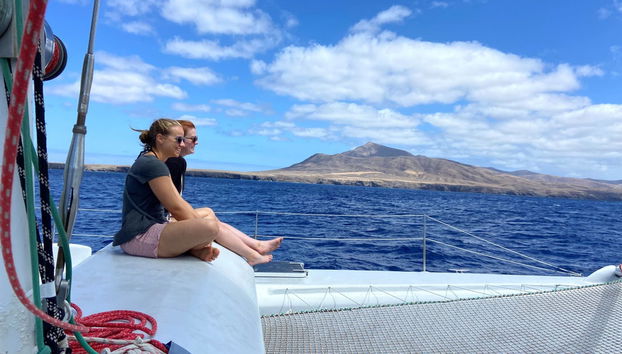 Whale & Dolphin Watching in Puerto Calero - Photo 3