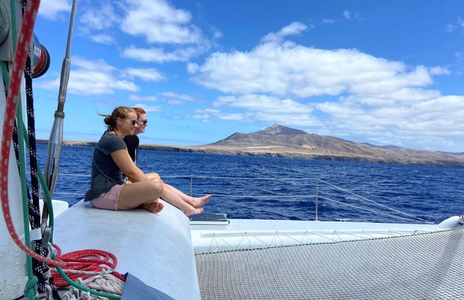 Whale & Dolphin Watching in Puerto Calero - Photo 3