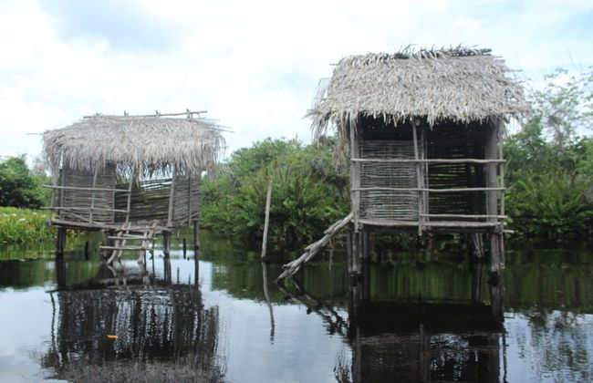 Excursion à San Blas - Photo 6
