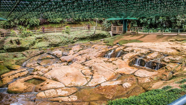 Tour privado por el Parque Arqueológico de San Agustín - Foto 3