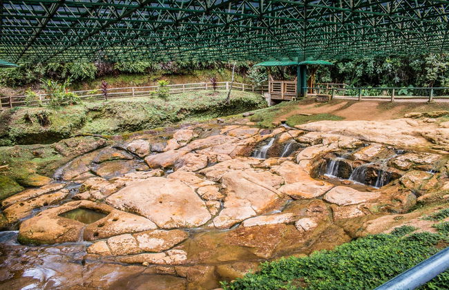 Tour privado por el Parque Arqueológico de San Agustín - Foto 3
