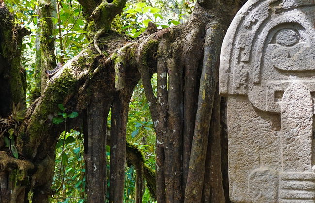Tour privado por el Parque Arqueológico de San Agustín - Foto 8