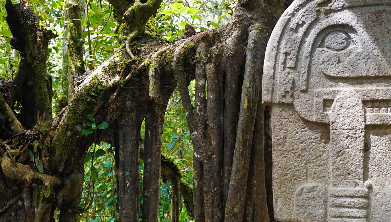 Visite privée du parc archéologique de San Agustín