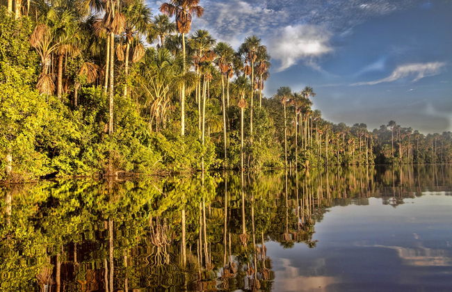 Peruvian Jungle Multi-Day Tour - Foto 6