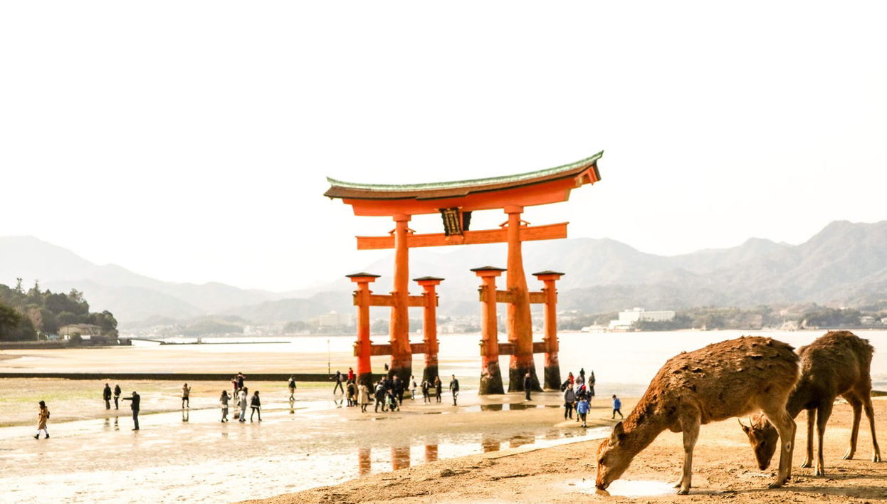 Hiroshima and Miyajima Tour - Photo 1