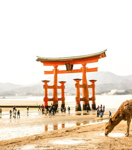 Foto de Tour por Hiroshima y Miyajima