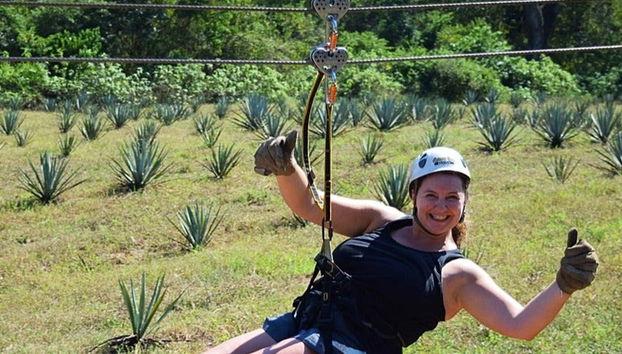 Le circuit de tyroliennes passe au-dessus d'un champ d'agaves