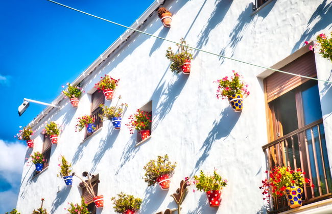 Free tour por Conil de la Frontera - Foto 1