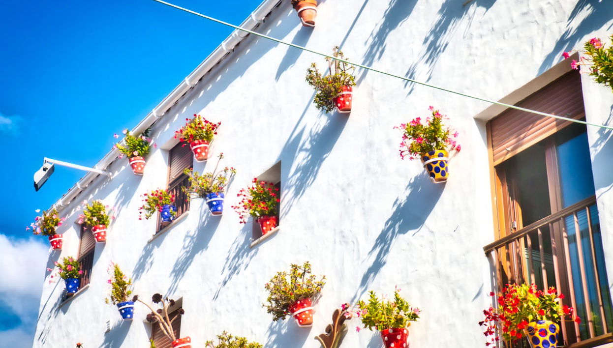 Free tour por Conil de la Frontera - Foto 1