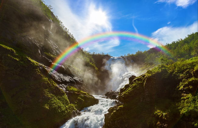 Norwegian Fjords: Flåm Train + Nærøy Boat Ride - Foto 5