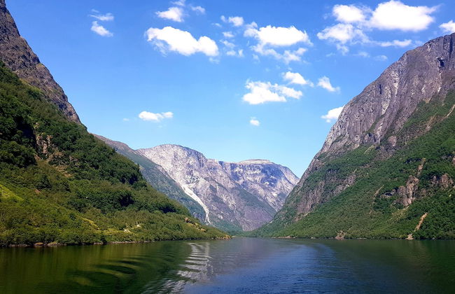 Norwegian Fjords: Flåm Train + Nærøy Boat Ride - Foto 6