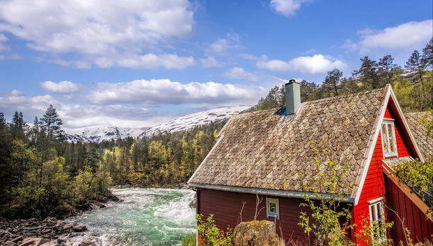 Norwegian Fjords: Flåm Train + Nærøy Boat Ride - Foto 3