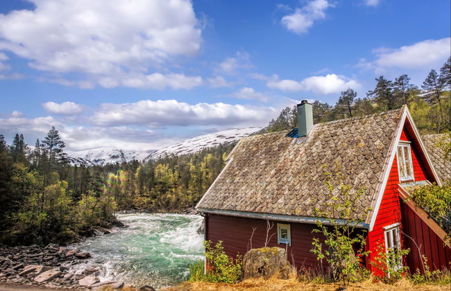 Norwegian Fjords: Flåm Train + Nærøy Boat Ride - Foto 3