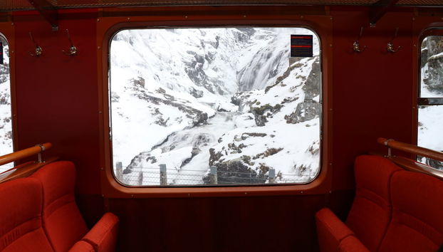 Norwegian Fjords: Flåm Train + Nærøy Boat Ride - Foto 2