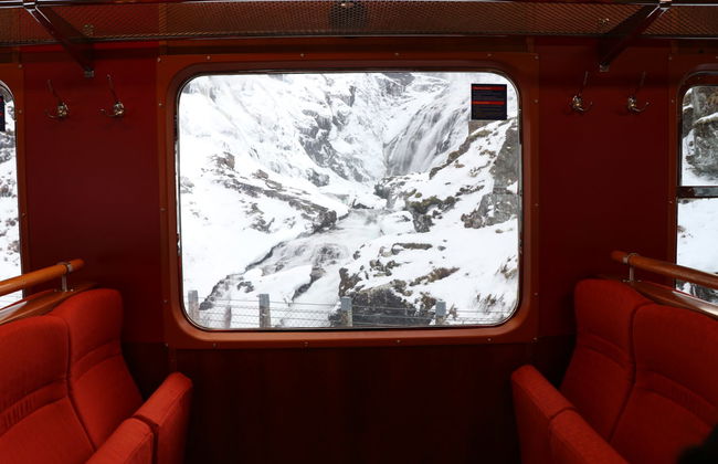 Norwegian Fjords: Flåm Train + Nærøy Boat Ride - Foto 2