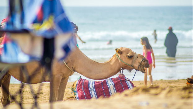 Tour de Tánger al completo - Foto 3