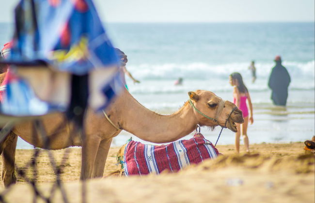 Tour de Tánger al completo - Foto 3