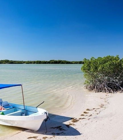 Foto de Excursión a Las Coloradas y Río Lagartos