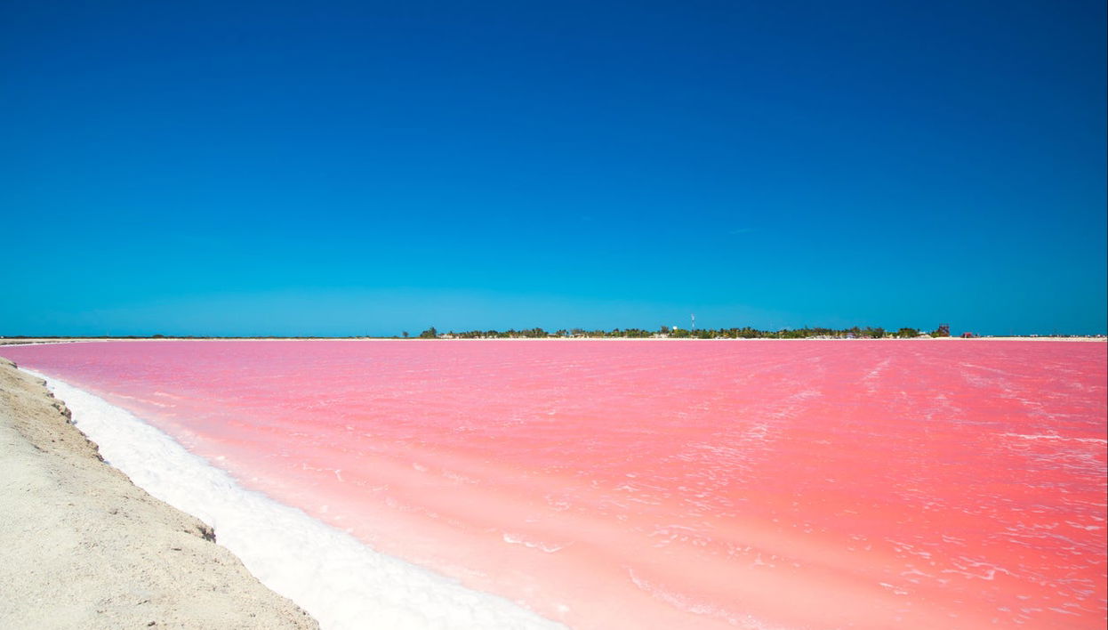 Day Trip to Las Coloradas & Río Lagartos - Photo 1