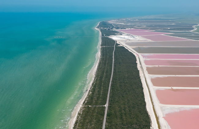 Excursión a Las Coloradas y Río Lagartos - Foto 4