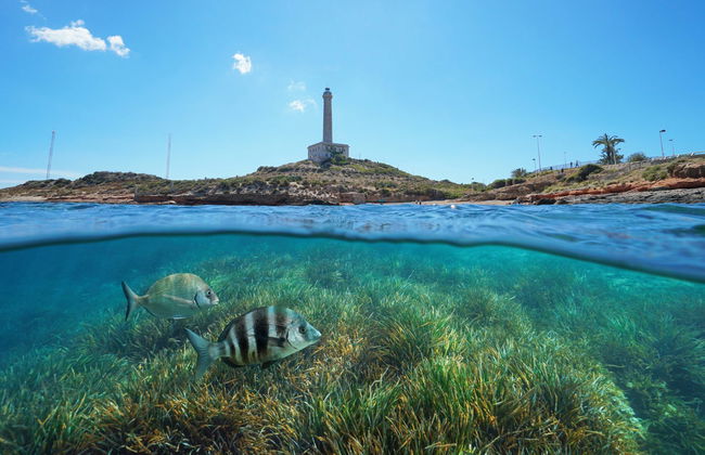 Bautismo de buceo en Cabo de Palos - Foto 2