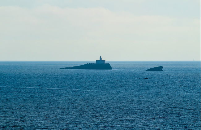 Bautismo de buceo en Cabo de Palos - Foto 4