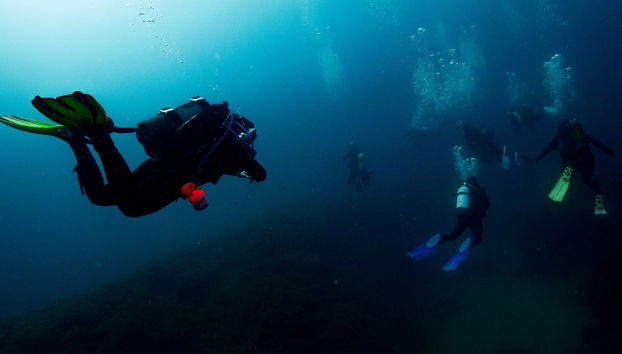Batismo de mergulho em Cabo de Palos - Foto 3