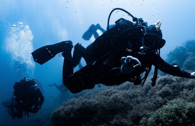 Diving in Cabo de Palos - Photo 2
