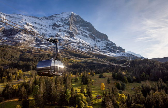 From Grindelwald: Train or Cable Car to Jungfraujoch - Top of Europe - Photo 4