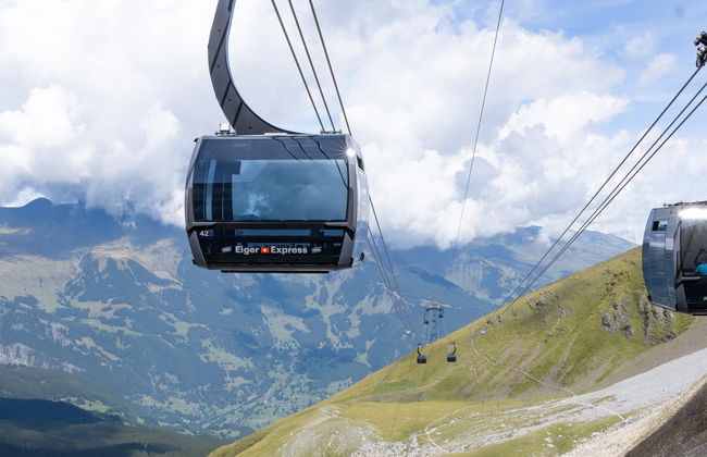 From Grindelwald: Train or Cable Car to Jungfraujoch - Top of Europe - Photo 5