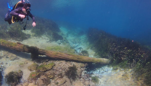 Buceo en Rainbow River - Foto 5