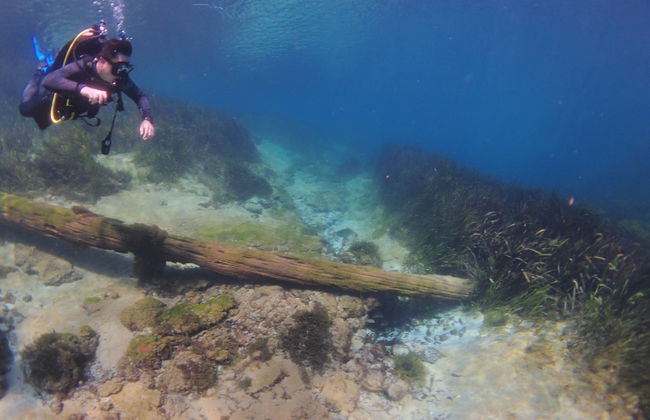 Buceo en Rainbow River - Foto 5