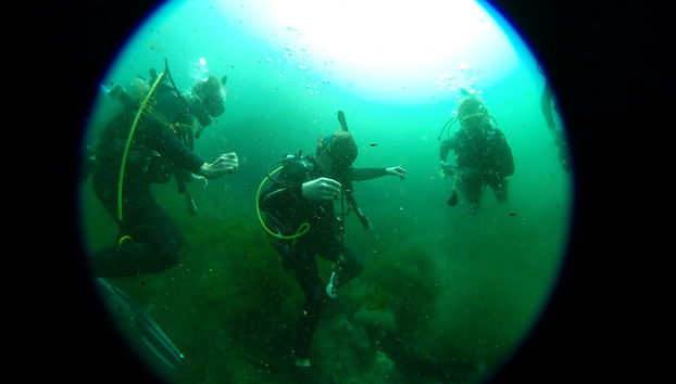 Buceo en Rainbow River - Foto 4