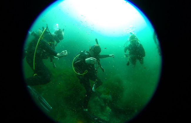 Buceo en Rainbow River - Foto 4