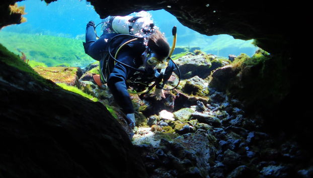 Buceo en Rainbow River - Foto 2