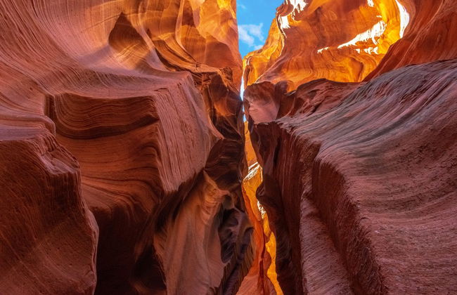 Las Vegas, Gran Cañón y cañones Antílope, Zion y Bryce en 4 días - Foto 3