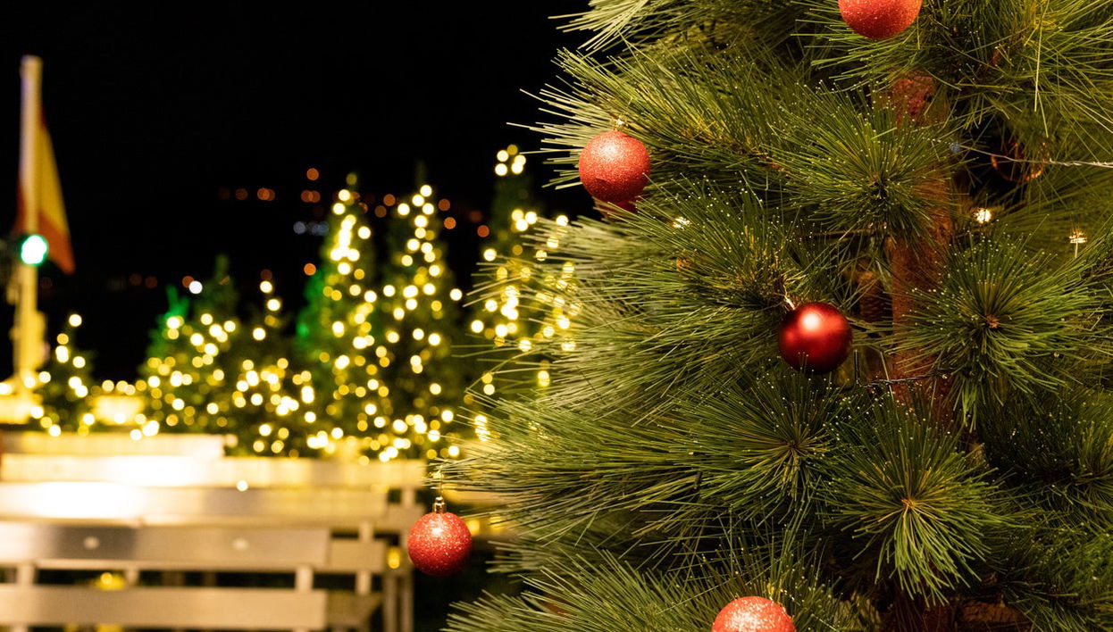 Christmas Boat Tour in Vigo - Photo 1