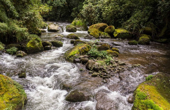 Savegre River White Water Rafting Activity - Photo 1