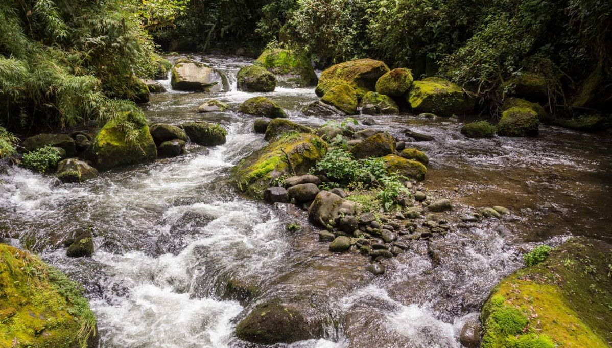 Savegre River White Water Rafting Activity - Photo 1