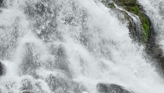 Savegre River White Water Rafting Activity - Foto 5